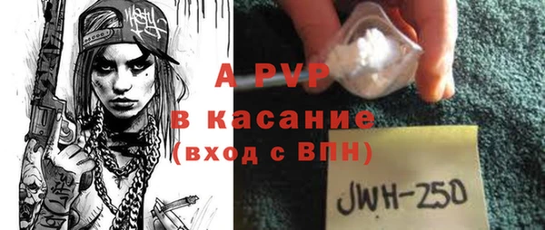 гидра Абаза