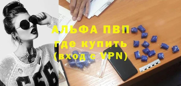 ПСИЛОЦИБИНОВЫЕ ГРИБЫ Новокубанск