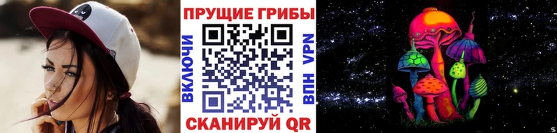 Псилоцибиновые грибы Cubensis дарнет шоп Нижняя Салда